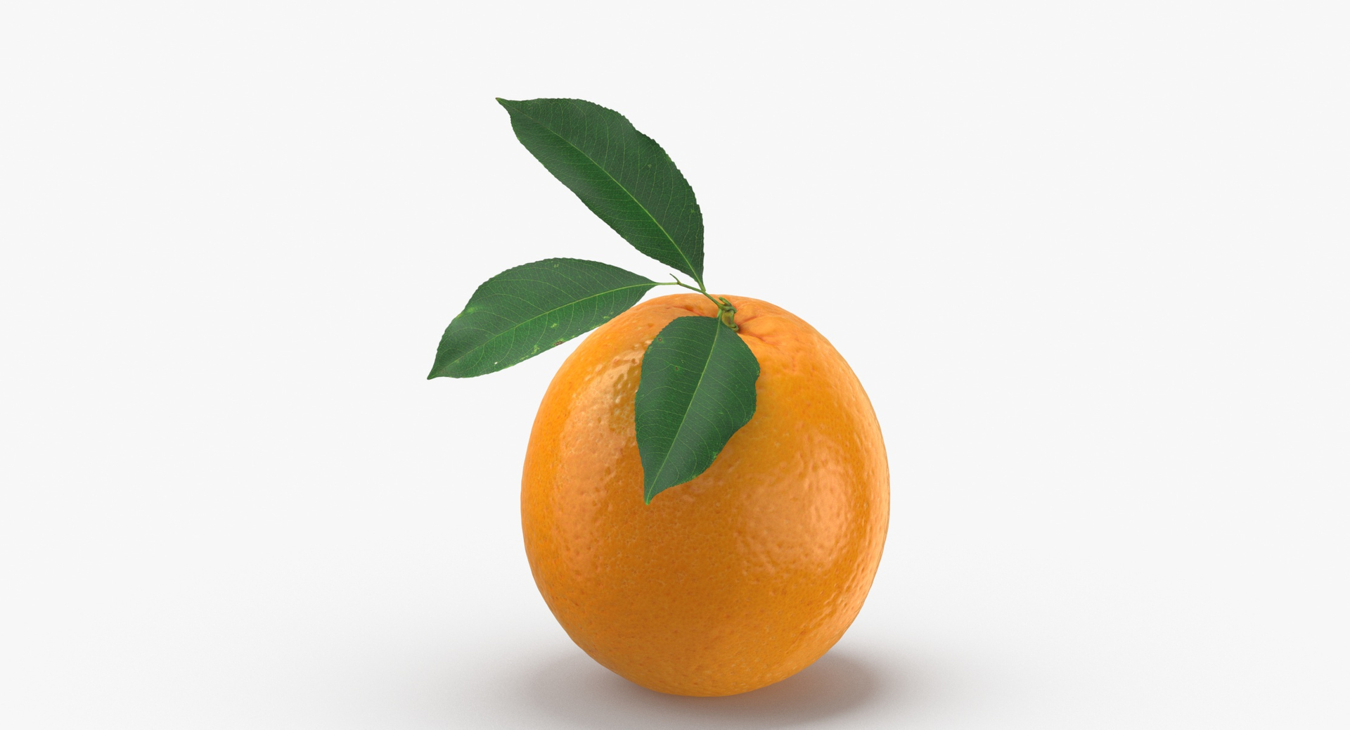 Fruits Collection 03 - 60 models 3D https://p.turbosquid.com/ts-thumb/i2/NtnWBL/0V/0000/jpg/1585833413/1920x1080/turn_fit_q99/377c5aa0d61514da2a41a502675f39f246ffcbf8/0000-1.jpg