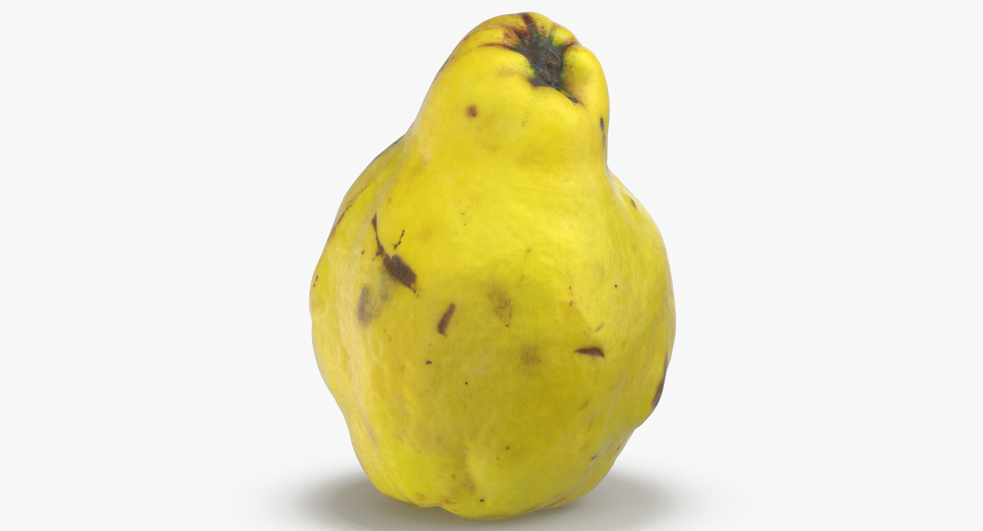 Fruits Collection 03 - 60 models 3D https://p.turbosquid.com/ts-thumb/i2/NtnWBL/4B/0000/jpg/1554908403/1920x1080/turn_fit_q99/e7c0c2fce7e9d944bca240e39a738502bf6fed7a/0000-1.jpg