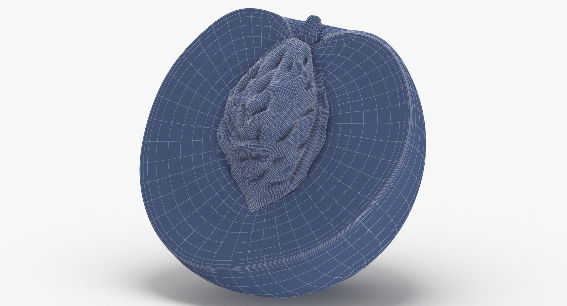 Fruits Collection 03 - 60 models 3D https://p.turbosquid.com/ts-thumb/i2/NtnWBL/mP/peach_half_cut_with_seed_wireframe_0002/jpg/1633692611/1920x1080/fit_q87/cb999e480d280b667c003b356197dff1a3cd79cc/peach_half_cut_with_seed_wireframe_0002.jpg