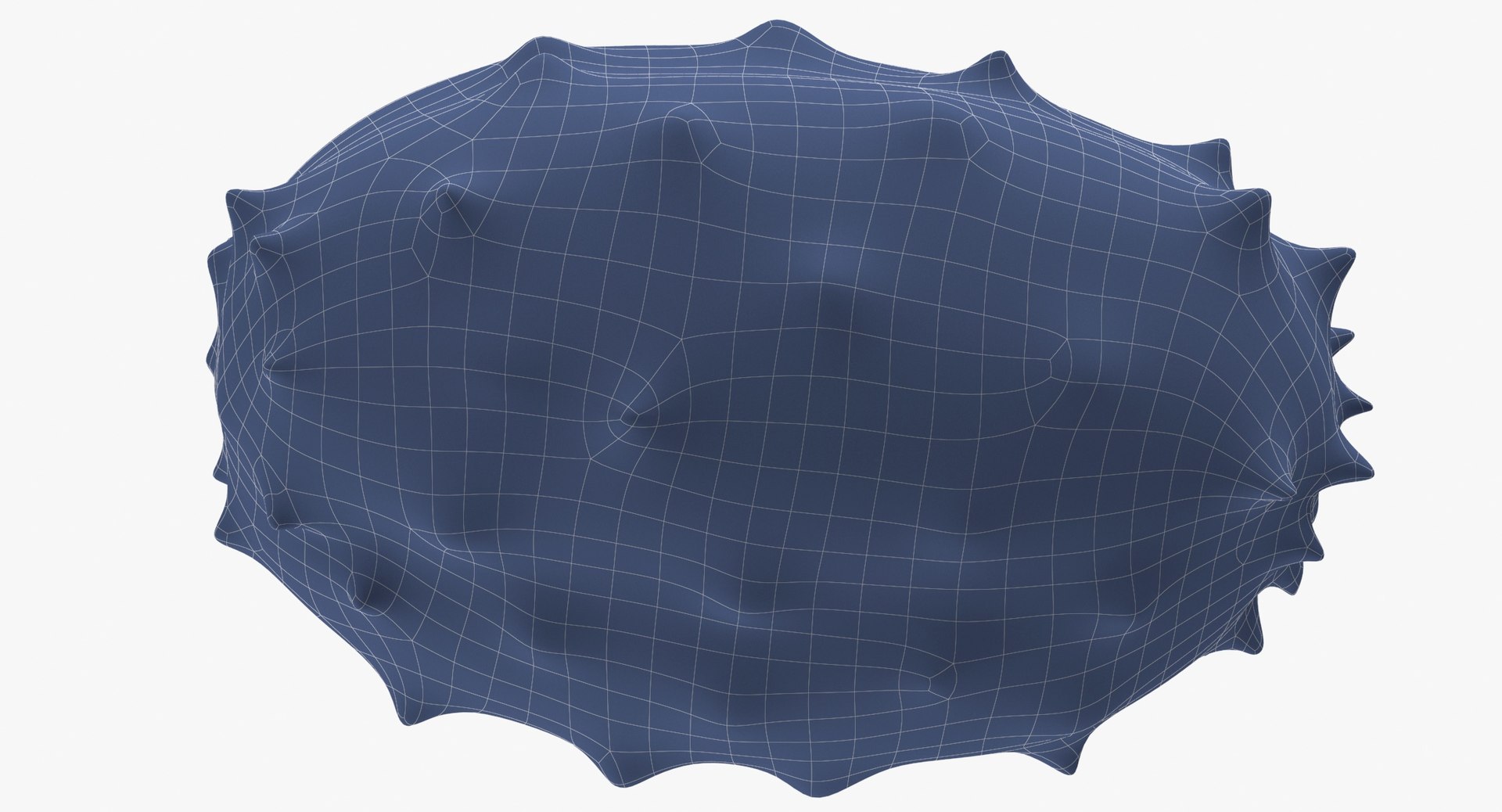 Fruits Collection 03 - 60 models 3D https://p.turbosquid.com/ts-thumb/i2/NtnWBL/sd/horned_melon_01_wireframe_0007/jpg/1633692598/1920x1080/fit_q87/e8d6f94e112c4f9f65540ed0f36b98bedaf55cb2/horned_melon_01_wireframe_0007.jpg