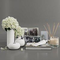 Decor set with white hydrangea