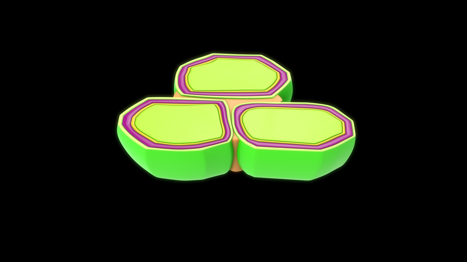 3d Model Plant Cell Wall Turbosquid 2195188