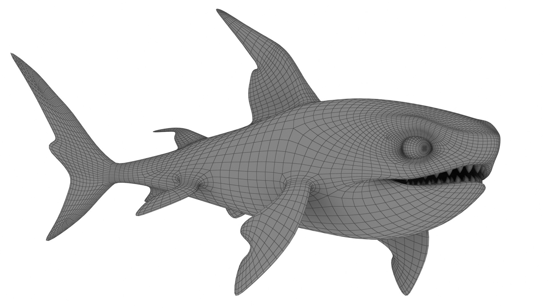 Cartoon Sea Animals Collection 12 in 1 3D https://p.turbosquid.com/ts-thumb/i2/X9kCqT/M8/cartoonshark8/jpg/1685462349/1920x1080/fit_q87/42f25faac2562f8baf0bab3f9f84f399af19ab3c/cartoonshark8.jpg