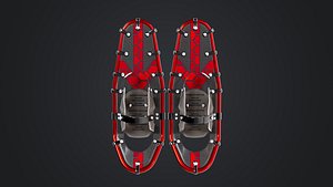 SnowShoes 3D