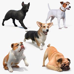 Small Dogs Rigged for Cinema 4D Collection 3