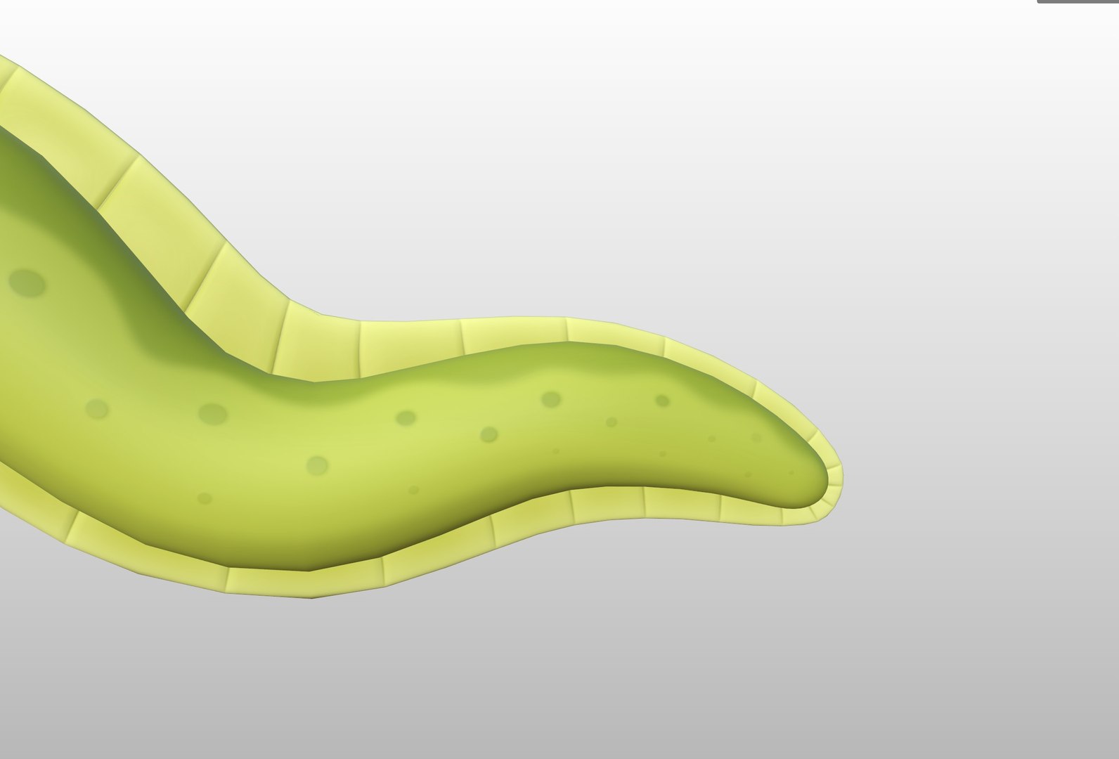 3D Character306 Eel https://p.turbosquid.com/ts-thumb/i2/oKTtdI/4G/xxx_115050/jpg/1712393836/1920x1080/fit_q87/8aebfbfc4c08b72f558175067fea903f5dacbf14/xxx_115050.jpg