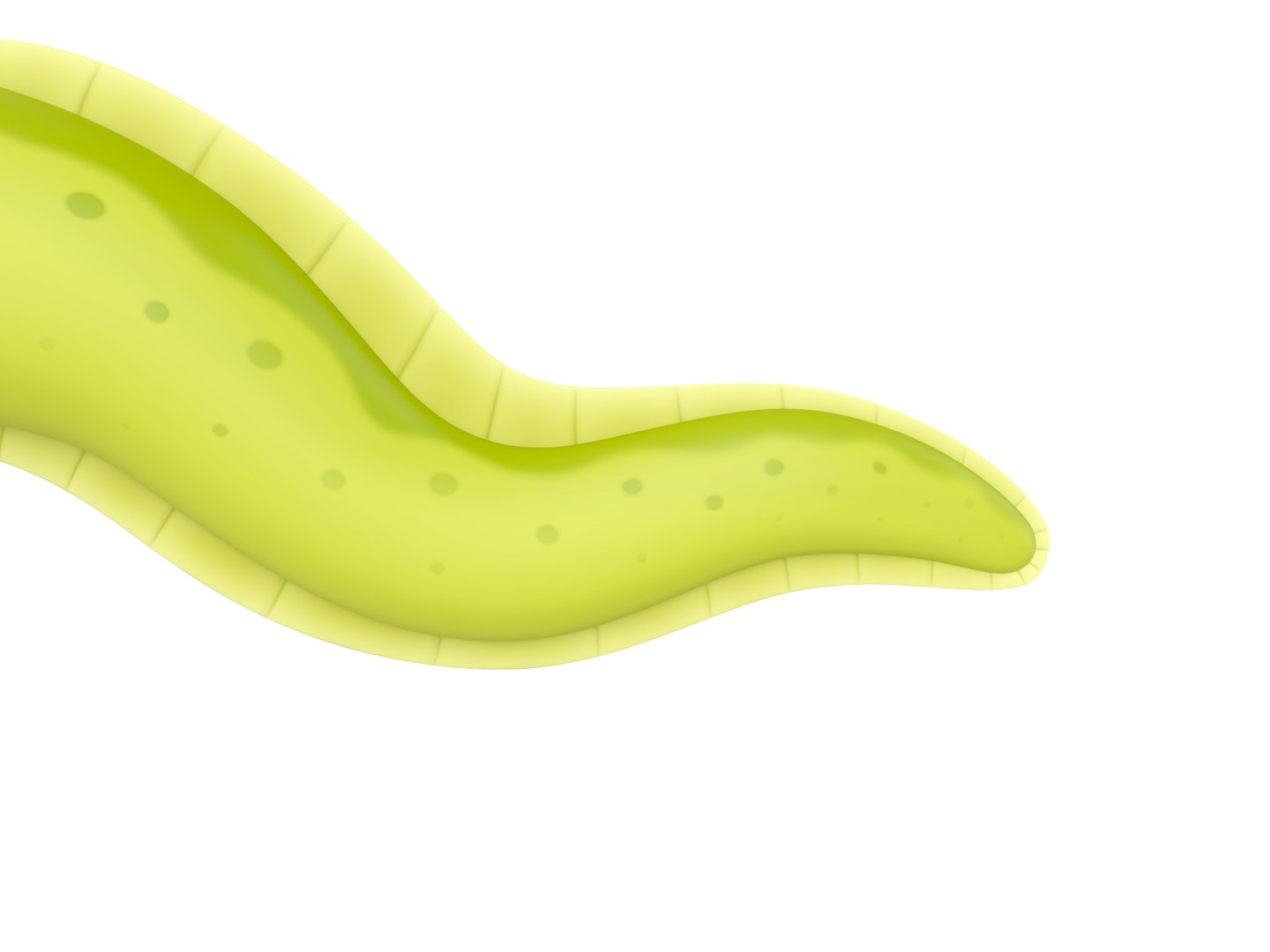 3D Character306 Eel https://p.turbosquid.com/ts-thumb/i2/oKTtdI/jH/rend_0005/jpg/1712393825/1920x1080/fit_q87/61b309d268444e9057d787d58908e56dbdd7a981/rend_0005.jpg