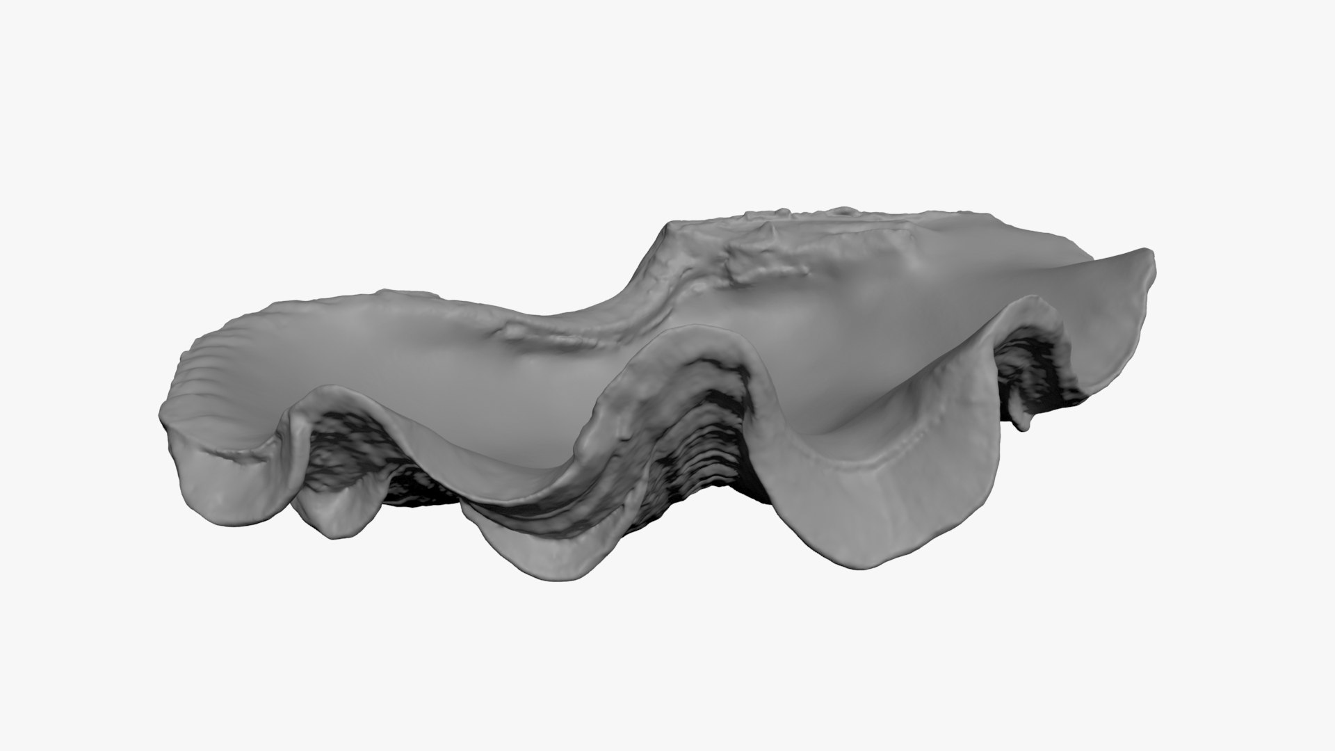 Giant Clam Shell Half 02 For 3D Print 3D Model - TurboSquid 2304973