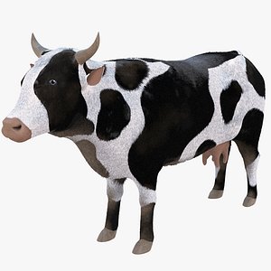 Cow 3D