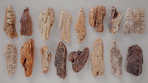 16 3D Scanned Middle Wood Collection