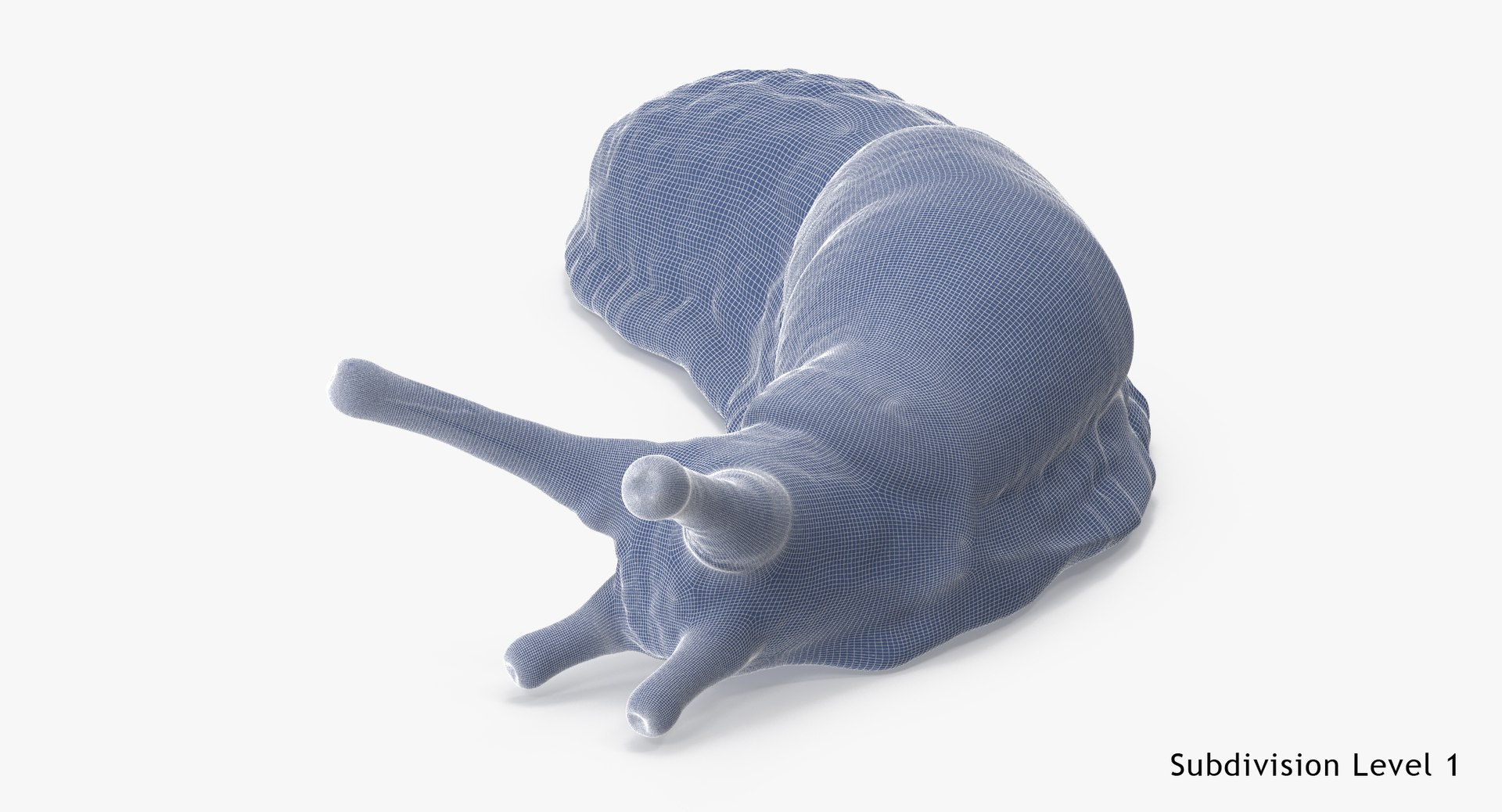 slug 02 max