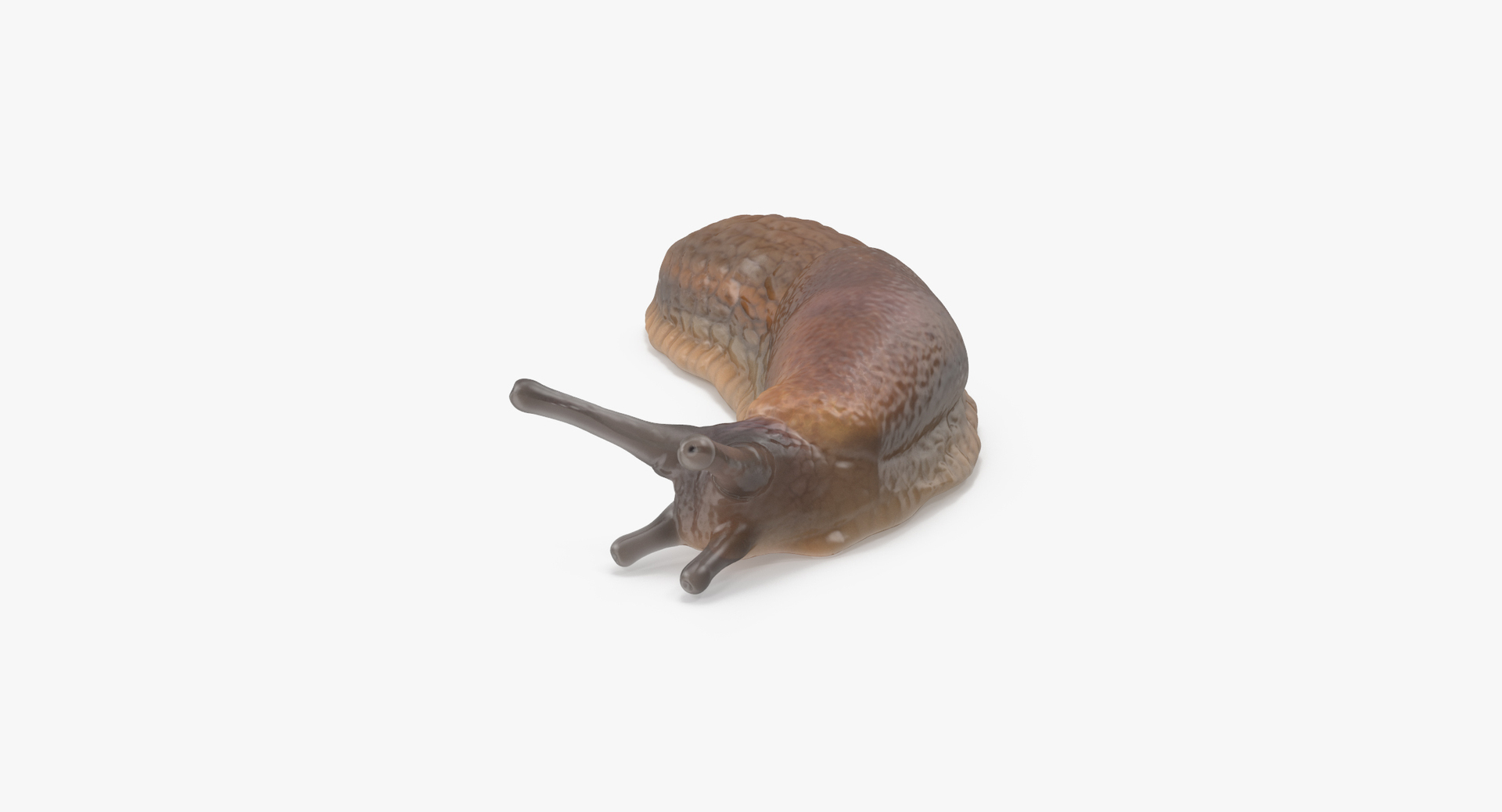 slug 02 max