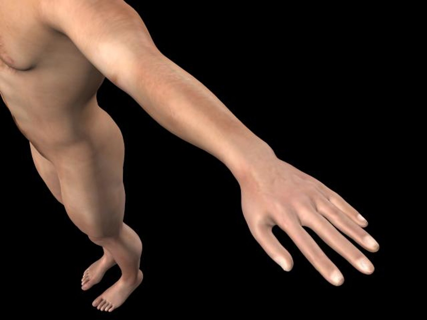 realistic man 3d max https://p.turbosquid.com/ts-thumb/i3/IysvMB/djYwJ2Yz/7th/jpg/1287122332/1920x1080/fit_q87/d9a61b1c73a266af16203ff12d8cad79ebc528d7/7th.jpg