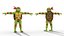 Collezione di cartoni animati TMNT