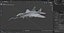 MiG 29K Multirole Fighter Aircraft Indian Navy