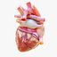 Human Heart Anatomy Animation model