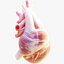Human Heart Anatomy Animation model