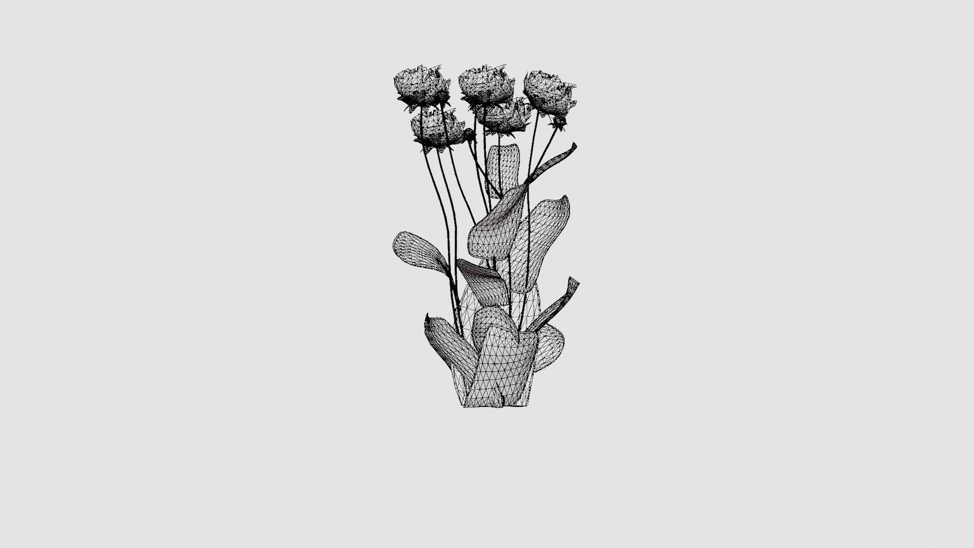Paeonia lactiflora Sarah Bernhardt Pion or Peon 3D https://p.turbosquid.com/ts-thumb/i3/jmL8hI/Bk/preview_7/jpg/1719813440/1920x1080/fit_q87/83d989b5aeb9cf2b045f82981627a00f895d8ed8/preview_7.jpg