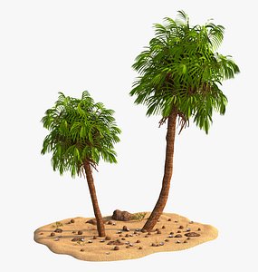 3D Palm Coconut