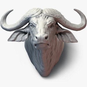 Cape Buffalo Head Sculpture