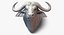 cape buffalo animal head 3D model