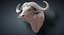 cape buffalo animal head 3D model