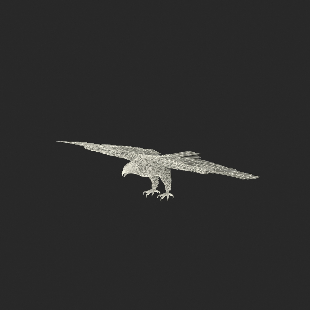 max bald eagle https://p.turbosquid.com/ts-thumb/i4/1sxuA9/2rV46bYT/imperial_eagle_361/jpg/1446811642/1920x1080/turn_fit_q99/e49cfb36af5dae8f173de0378904c85b808bf66f/imperial_eagle_361-1.jpg