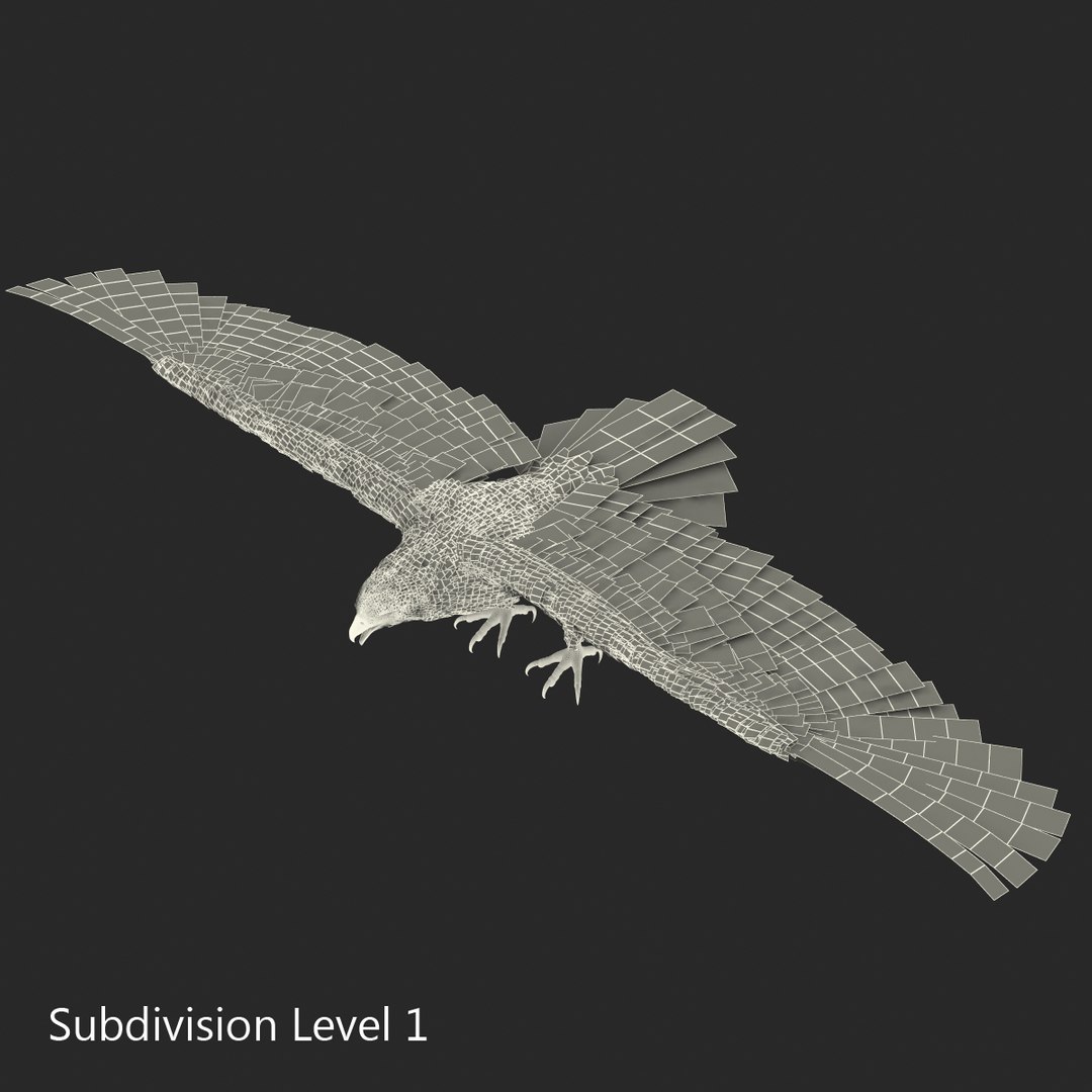 max bald eagle https://p.turbosquid.com/ts-thumb/i4/1sxuA9/AHDjAVXl/baldeagle3dmodel21/jpg/1446811466/1920x1080/fit_q87/e994350464dd8a7550ef759f2673b23b47a51562/baldeagle3dmodel21.jpg
