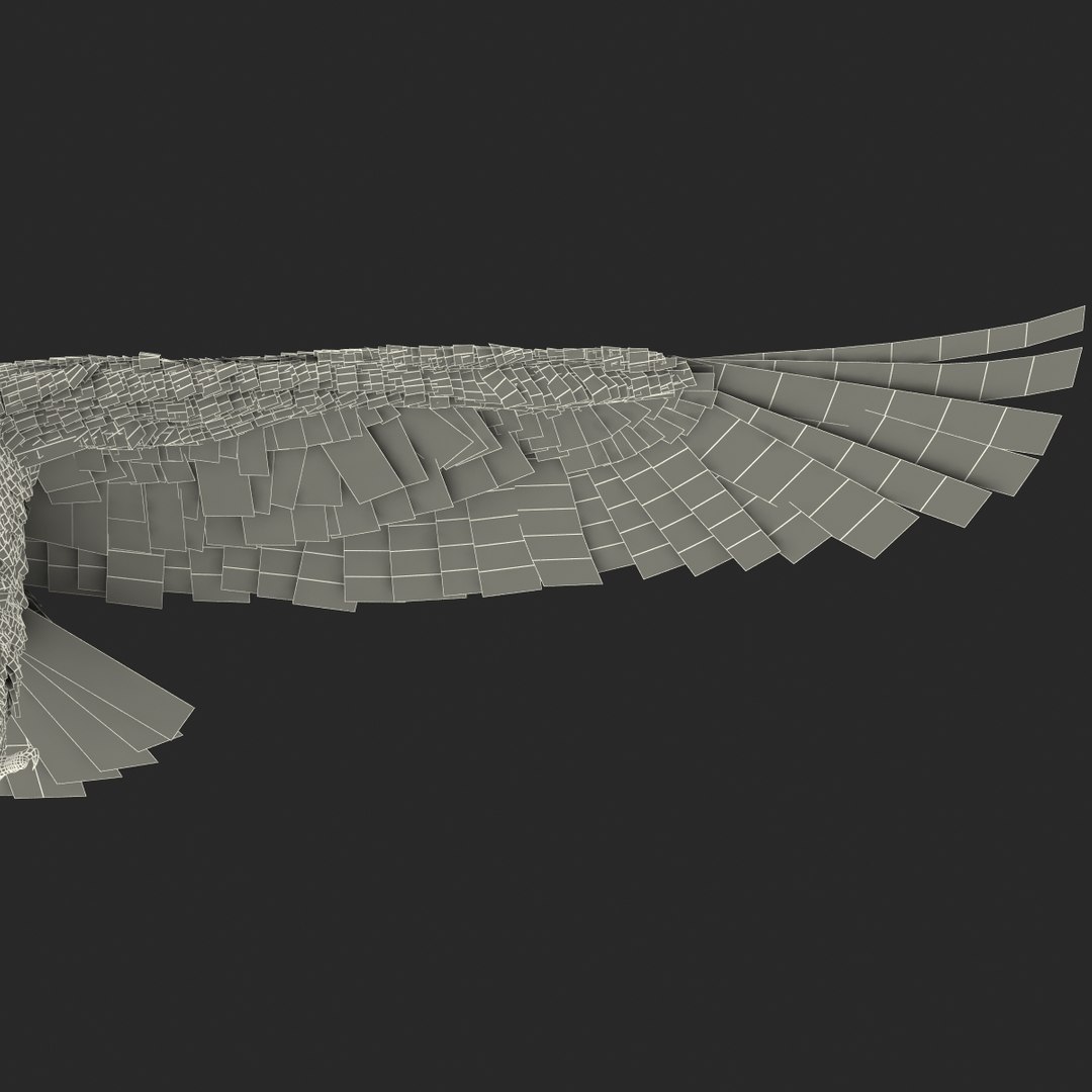 max bald eagle https://p.turbosquid.com/ts-thumb/i4/1sxuA9/ruz7eaHz/baldeagle3dmodel33/jpg/1446811467/1920x1080/fit_q87/0055915eca82db2381fc6fd482528c8800b51696/baldeagle3dmodel33.jpg