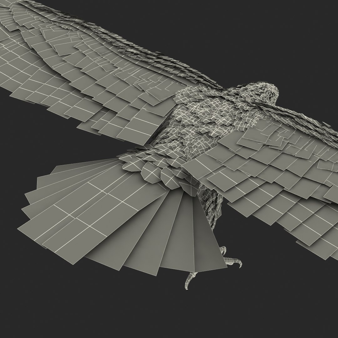 max bald eagle https://p.turbosquid.com/ts-thumb/i4/1sxuA9/tNwQkOsP/baldeagle3dmodel30/jpg/1446811466/1920x1080/fit_q87/c34c00085333bc687856adc21473a9db58371d5d/baldeagle3dmodel30.jpg