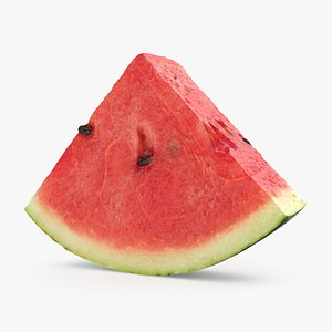 3D Watermelon Slice 03