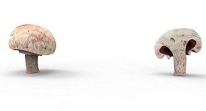 champignon
