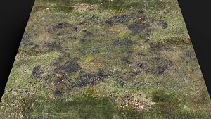 3D terrain ground grass bushes patch pt9 PBR photogrammetry