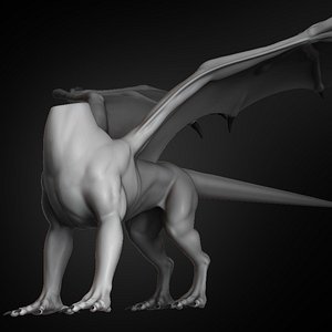 dragon body concept creature 3D