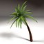 3d model palm tree