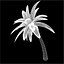 3d model palm tree