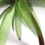 3d model palm tree