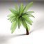 3d model palm tree