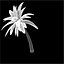 3d model palm tree