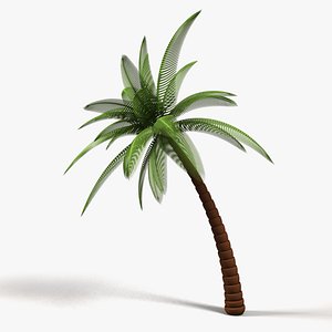 Palm