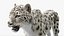 Snow Leopard with Detailed Fur