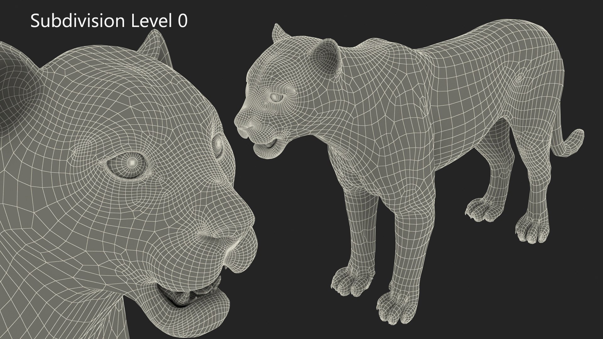 3D model Snow Leopard with Detailed Fur https://p.turbosquid.com/ts-thumb/i4/RVFl3Q/XR/snow_leopard_with_detailed_fur_016/jpg/1743027504/1920x1080/fit_q87/95a1129e02f2d60b2488ee5215e2943f0a615a39/snow_leopard_with_detailed_fur_016.jpg