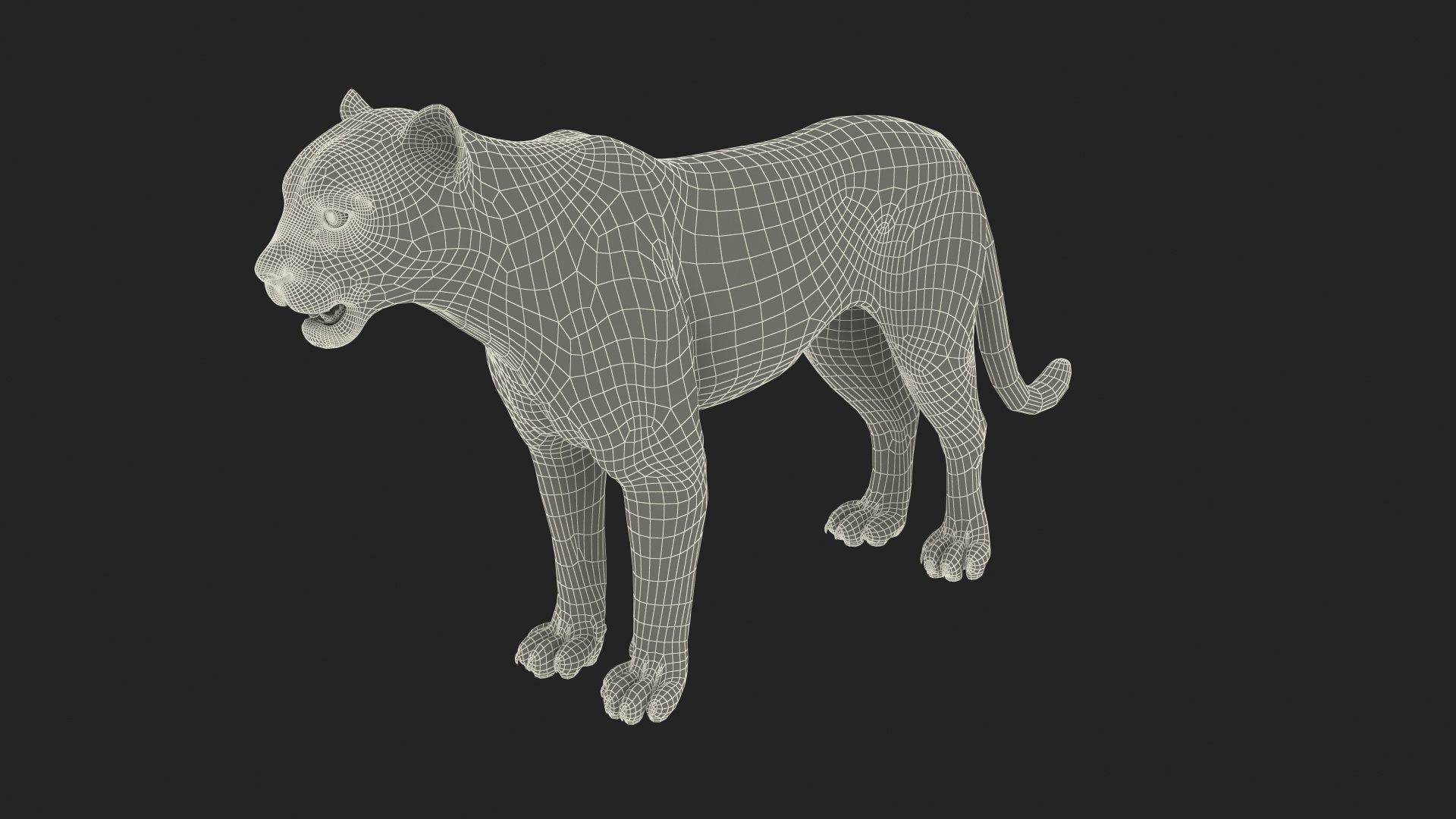 3D model Snow Leopard with Detailed Fur https://p.turbosquid.com/ts-thumb/i4/RVFl3Q/fM/snow_leopard_with_detailed_fur_361/jpg/1743027356/1920x1080/turn_fit_q99/ae7b6ba1a2a5d2f9812894b7b7592db61354eebd/snow_leopard_with_detailed_fur_361-1.jpg