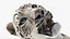 Snow Leopard with Detailed Fur
