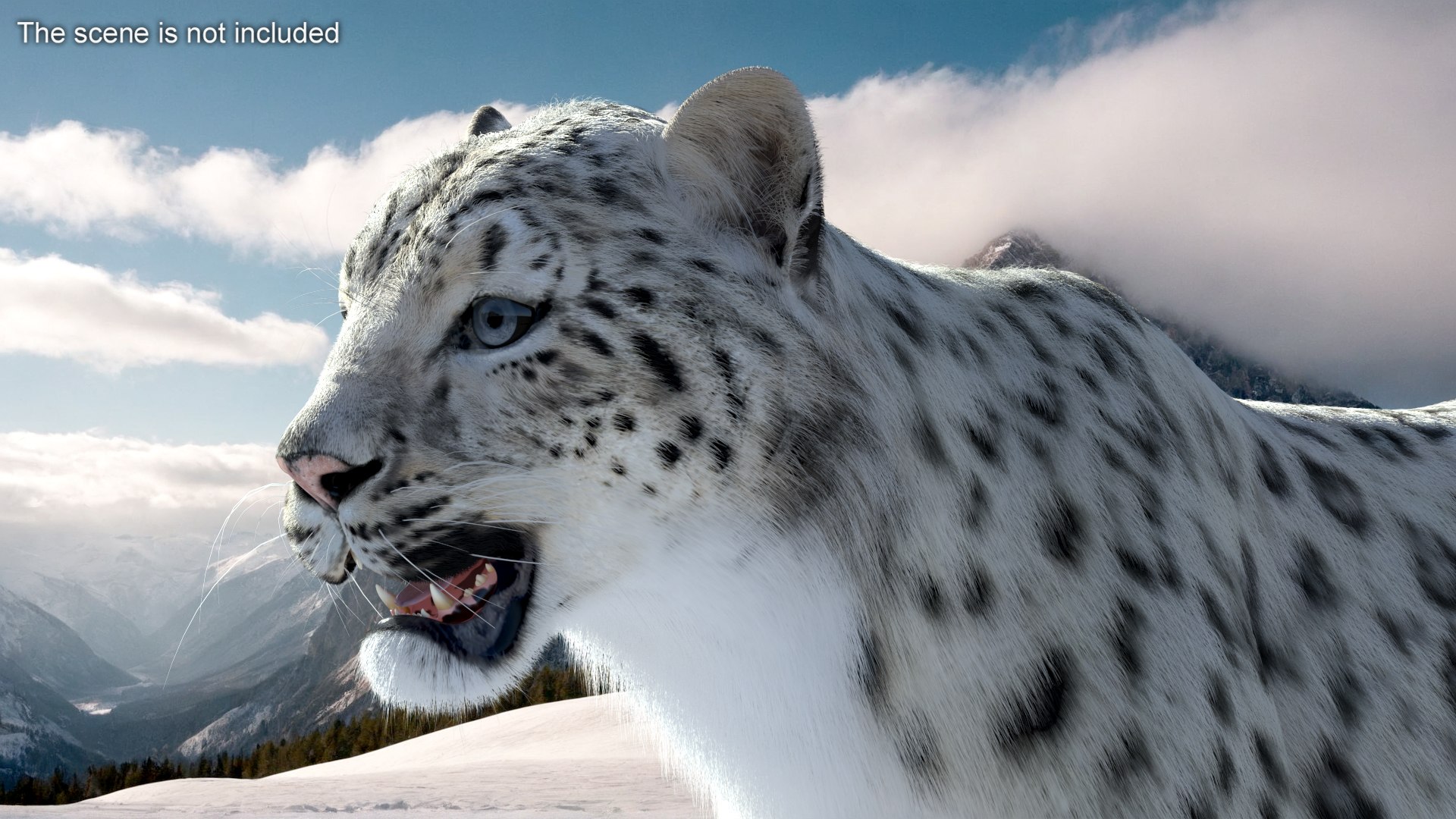 3D model Snow Leopard with Detailed Fur https://p.turbosquid.com/ts-thumb/i4/RVFl3Q/tJ/snow_leopard_with_detailed_fur_003/jpg/1743027452/1920x1080/fit_q87/6d8c119802f7e82a9d9ee825df855af2d737aaec/snow_leopard_with_detailed_fur_003.jpg