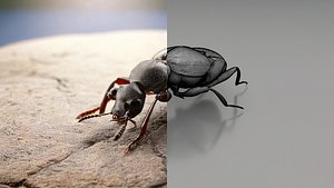 Ultimate realistic 60 insects pack