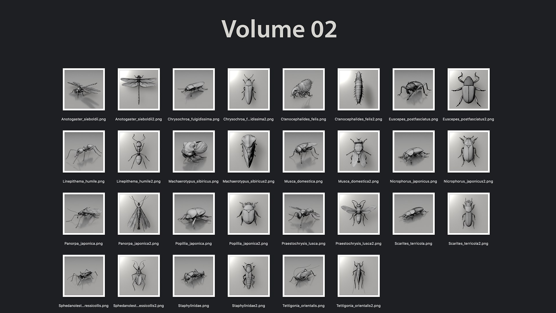 Ultimate Realistic 60 Insects Pack 3D Model - TurboSquid 2378692