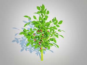 Bell Pepper-red 3D model