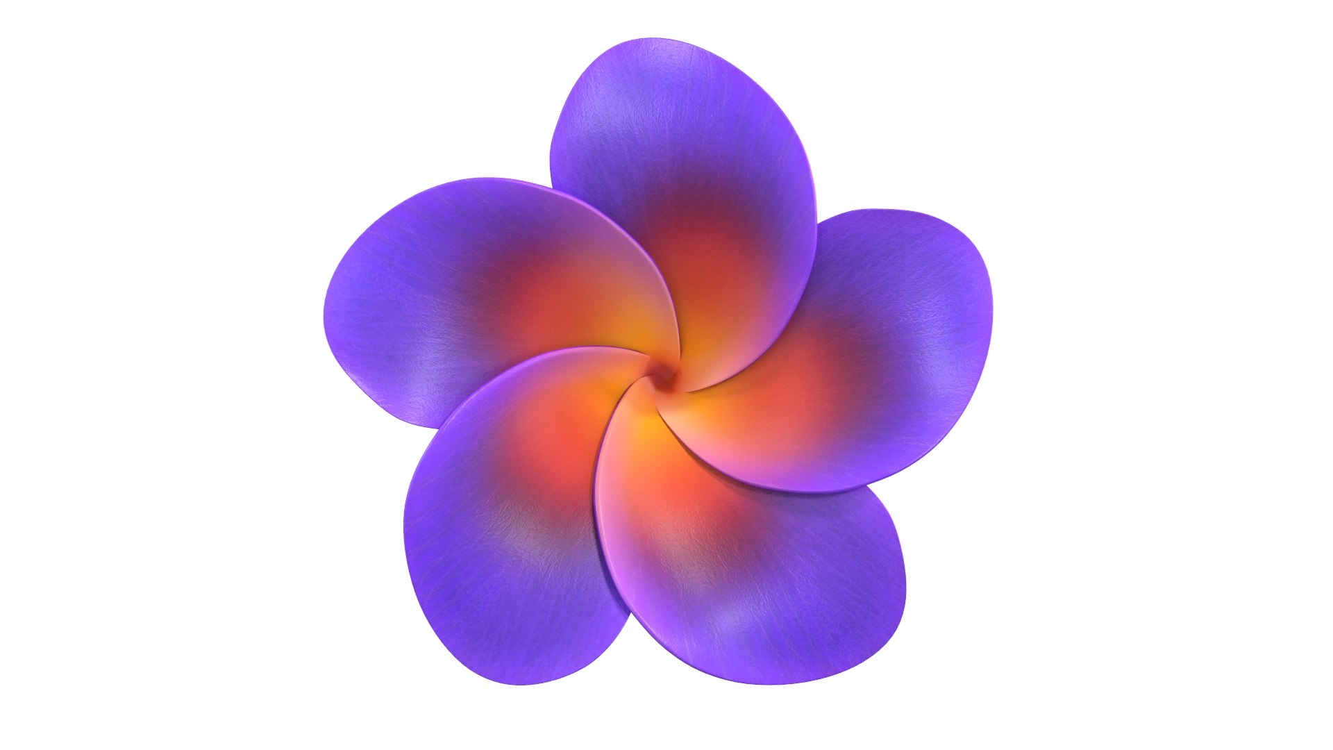 3D Realistic Plumeria 3D Model - High-Quality 4K PBR Asset https://p.turbosquid.com/ts-thumb/i4/oNGkcM/Hu/4/jpg/1742830165/1920x1080/fit_q87/e106e1e04b941e08ec3eac4b43c577445502074e/4.jpg