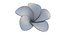 3D Realistic Plumeria 3D Model - High-Quality 4K PBR Asset